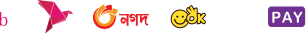 footer payment methods